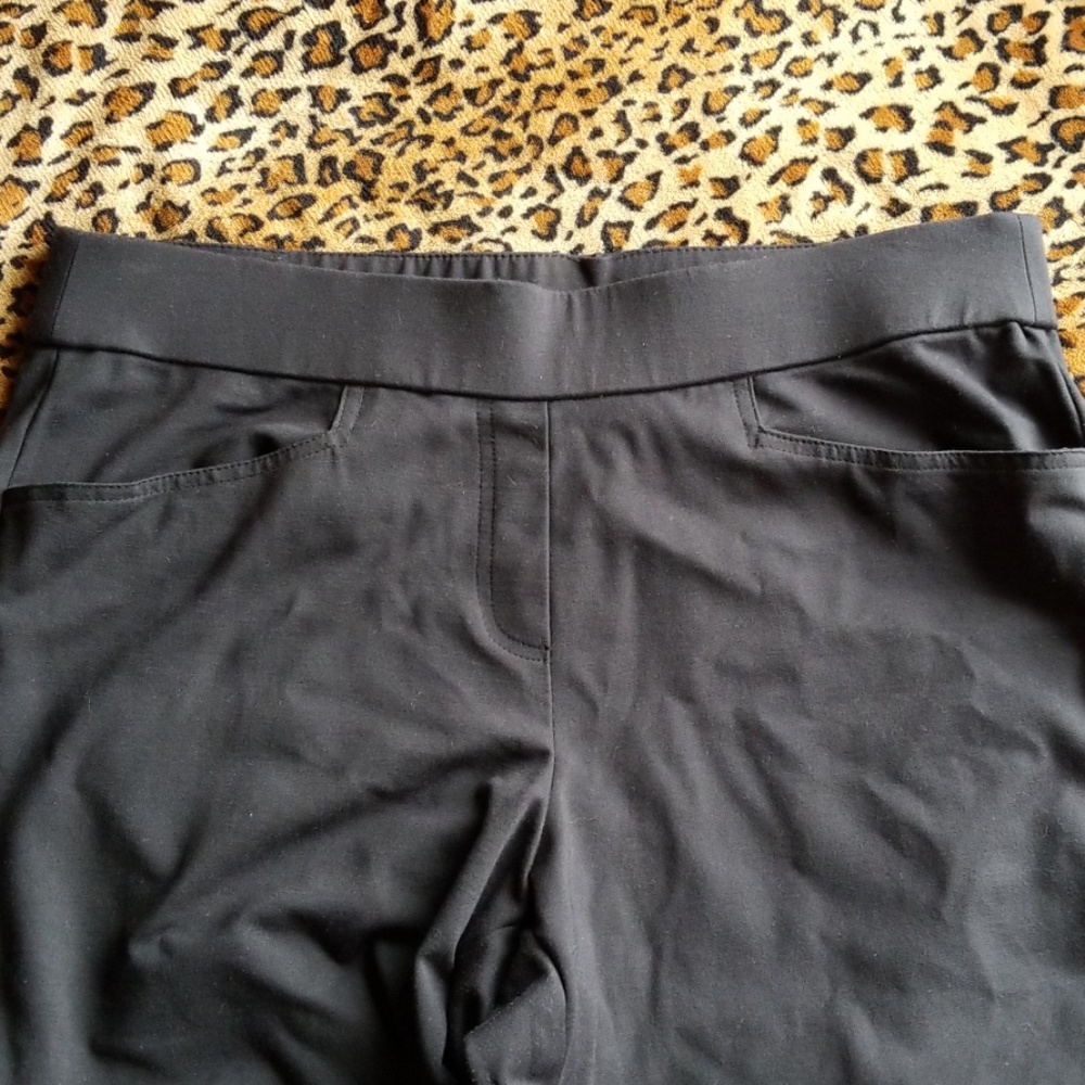 Lane Bryant Black Pants